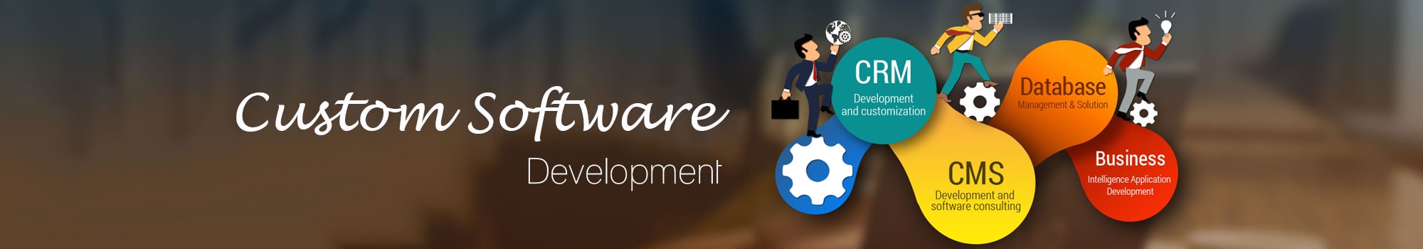 Custom Website Development Price Custom Website Development Price